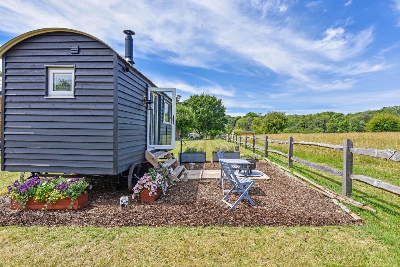 Crabden Shepherd Hut - Blendworth Villa Waterlooville Exteriör bild
