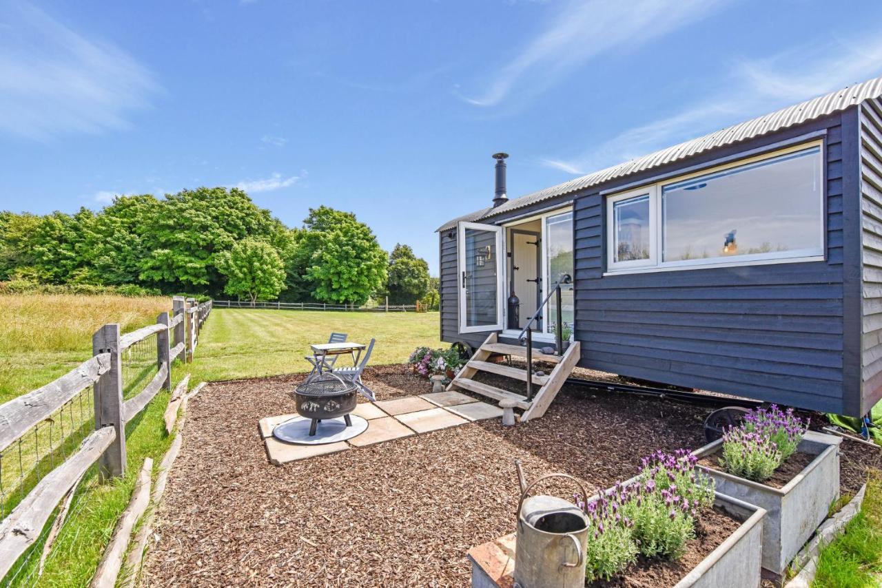 Crabden Shepherd Hut - Blendworth Villa Waterlooville Exteriör bild