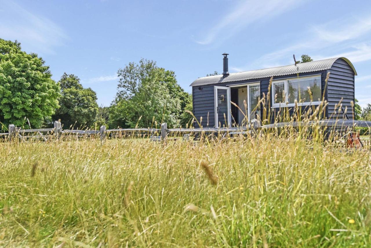 Crabden Shepherd Hut - Blendworth Villa Waterlooville Exteriör bild