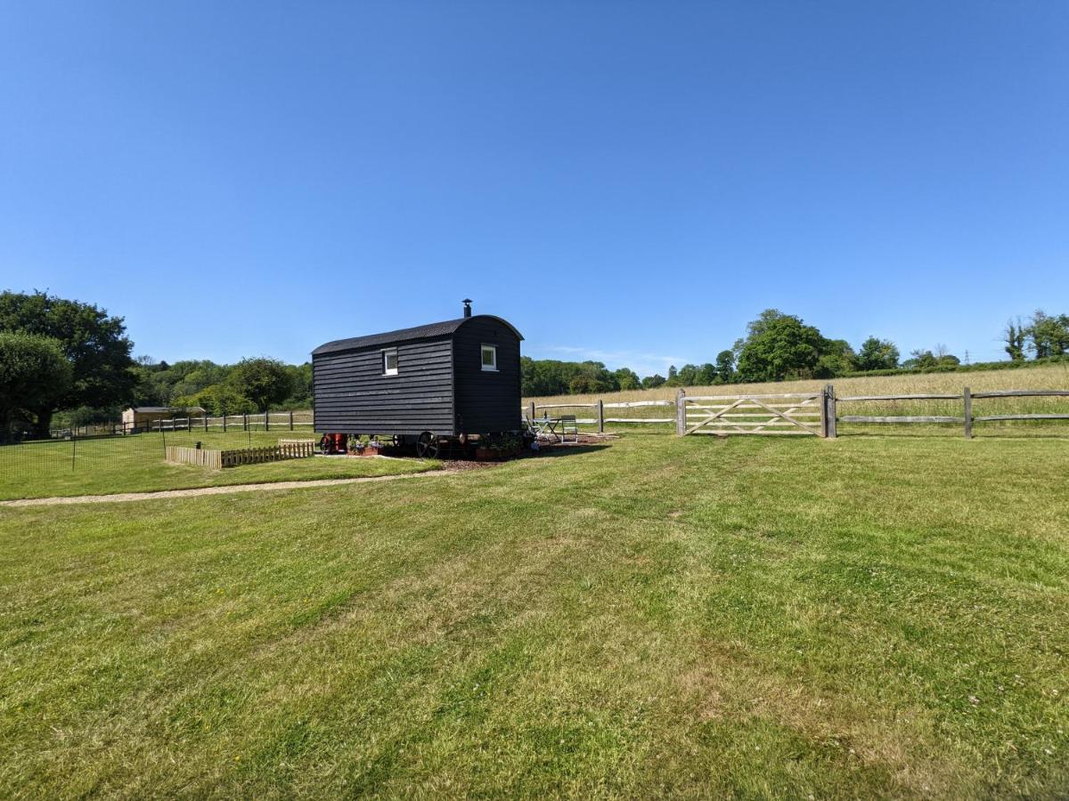 Crabden Shepherd Hut - Blendworth Villa Waterlooville Exteriör bild